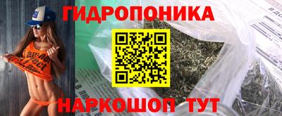 apvp Славгород