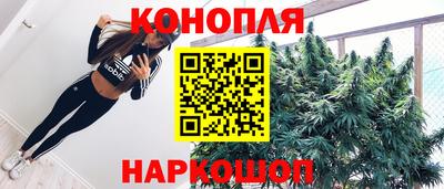 apvp Славгород