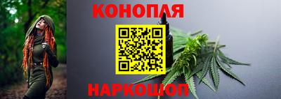 apvp Славгород