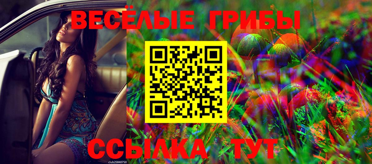 Галлюциногенные грибы Cubensis Новоуральск